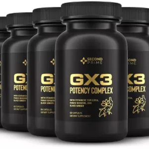 Cover image for Ebook GX3