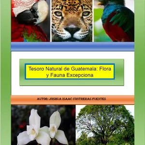Imagen de portada para Ebook Tesoro Natural de Guatemala