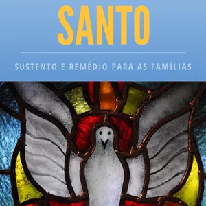 Imagem de capa para o Ebook Espírito Santo Sustento e Remédio para as Famílias