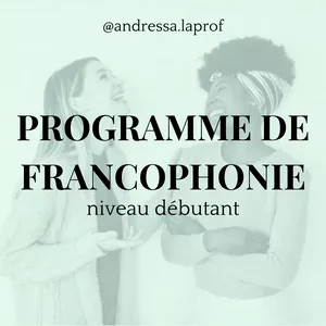 Imagem de capa para o Curso online PROGRAMME DE FRANCOPHONIE - niveau débutant