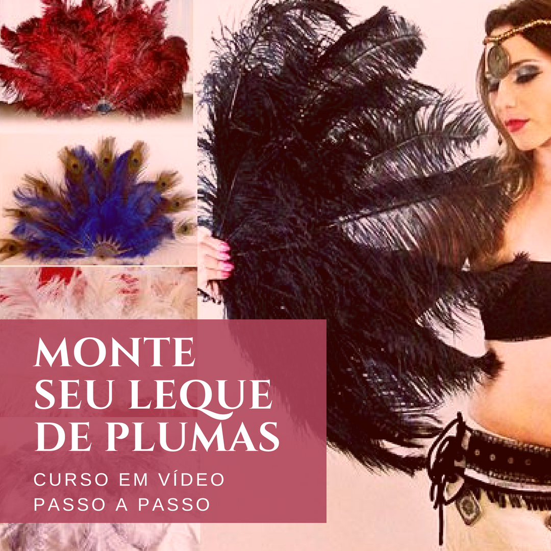 Imagem do curso Curso - Leque de Plumas