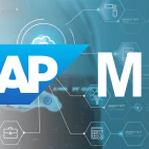 Imagem de CURSO SAP PARA INICIANTES criado por LUIZ na hotmart