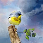 Foto do Criador sidnei santos