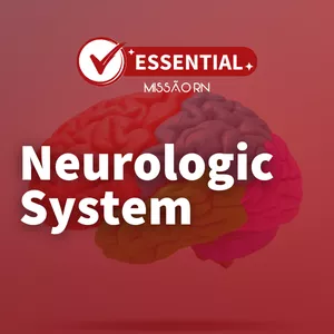 Imagem de capa para o Curso online Módulo 04- Neurologic System