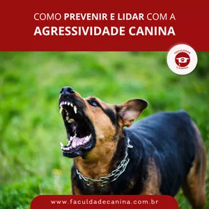 Imagem de capa para o Ebook COMO PREVENIR E LIDAR COM A AGRESSIVIDADE CANINA