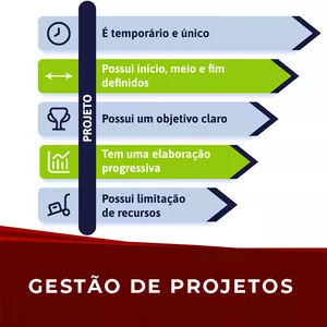 Imagem de capa para o Curso online Gestão de Projetos