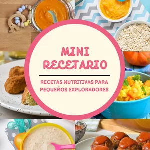Imagen de portada para Ebook MINI RECETARIO para bebés