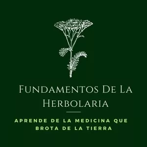 Imagen de portada para Curso online Fundamentos De La Herbolaria