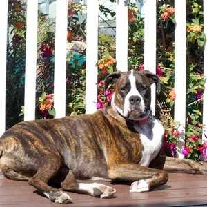 Imagen de portada para Curso online Optimiza tu tiempo con nuestra solución innovadora