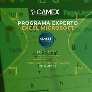 Imagen de portada para Curso online PROGRAMA EXPERTO EN EXCEL MICROSOFT