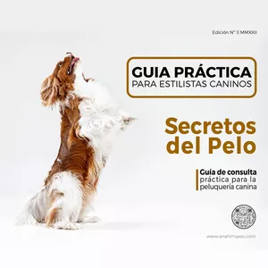 Imagen de portada para Ebook Guía práctica Peluquería Canina Comercial 