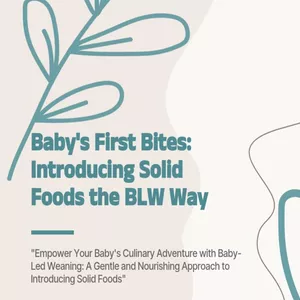 Cover image for Ebook Baby's First Bites: Introducing Solid Foods the BLW Way