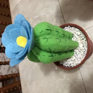 Imagen de portada para Curso online Cactus 