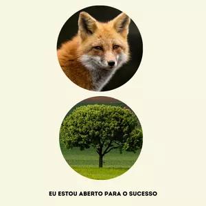 Imagem de capa para o Curso online Arquétipo Raposa +  Arquétipo da Árvore 