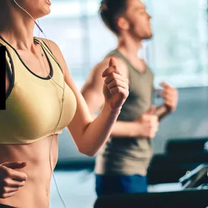FITLIFE SOLUTIONS - Exercícios e Alongamentos