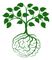 The Brain Food Academy