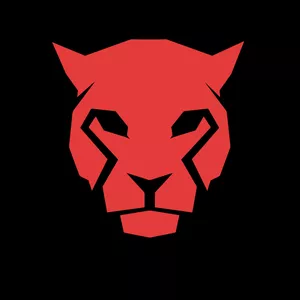 Imagem de capa para o Curso online CT FEMININO