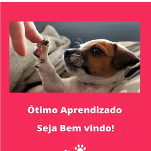 Imagem de capa para o Ebook Fácil Adestrador de Cães
