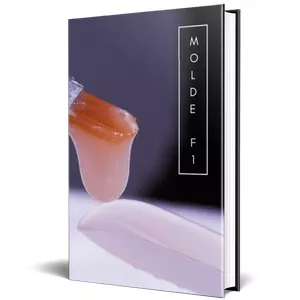 Imagem de capa para o Ebook Apostila Molde F1