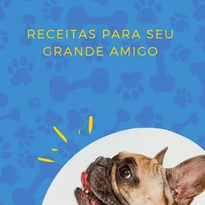 Imagem de capa para o Ebook Top 10 receitas para seu grande amigo 