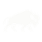 Bizon