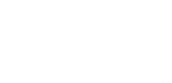 Violet Vision Education & Consulting logo