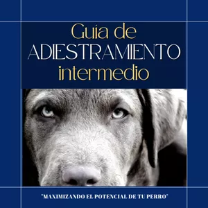 Imagen de portada para Ebook Guía de adiestramiento intermedio