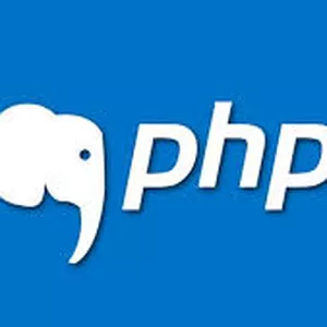 Imagem de capa para o Curso online Curso Profissional em T - PHP 