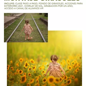 Imagen de portada para Curso online Montajes Girasoles 2021