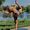 donna jackovich