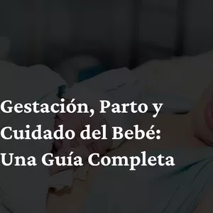 Imagen de portada para Ebook Gestación, Parto y Cuidado del Bebé: Una Guía Completa