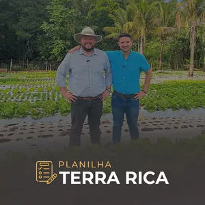 Imagem de capa para o Curso online Planilha Terra Rica