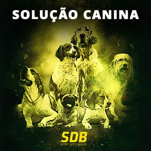 Imagem de capa para o Curso online SOLUÇÃO CANINA. RESOLVA 5 PROBLEMAS COMPORTAMENTAIS TREINANDO 10 MINUTOS POR DIA.