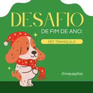 Imagem de capa para o Evento presencial Desafio de Fim de Ano: Pet Tranquilo