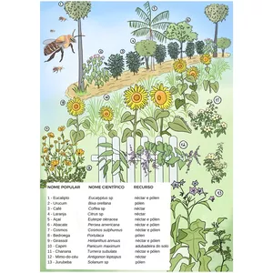 Imagem de capa para o Curso online Agrofloresta das abelhas-sem-ferrão 