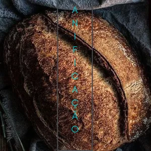 Imagem de capa para o Ebook Levain