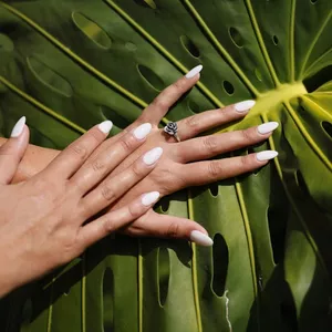 Imagen de portada para Ebook Máquina manicurista 