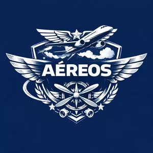 Imagem de capa para o Ebook Manual do passageiro aéreo 