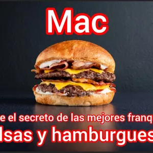 Imagen de portada para Ebook CONOCE EL SECRETO DE UNA DE LAS MEJORES FRANQUICIAS DEL MUNDO SALSAS Y HAMBURGUESAS