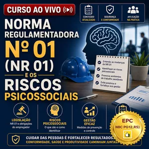 NORMA REGULAMENTADORA N� 01 (NR 01) E OS RISCOS PSICOSSOCIAIS (Pontua��o no PEPC)