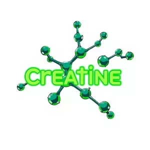 Imagem de capa para o Ebook 'CREATINA' Benefícios e maléficos 