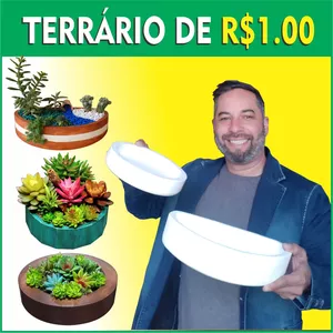 TERRÁRIO LUCRATIVO , TERRÁRIO DE 1 REAL