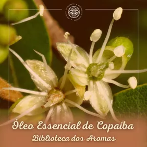 Imagem de capa para o Curso online Copaíba - Biblioteca de Aromas