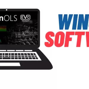 Imagen de portada para Curso online CURSO DE WINOL Y CHIP TUNING