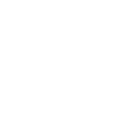 Strong Brand Social logo
