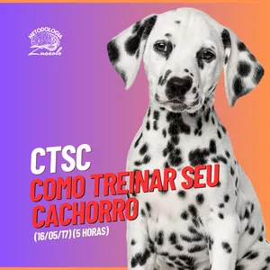 Capa do curso 