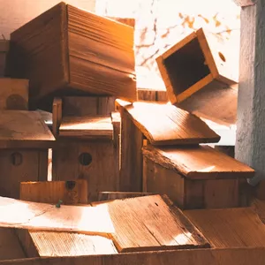 Imagem de capa para o Ebook Projeto DIY: Abrigo Sustentável para Aves