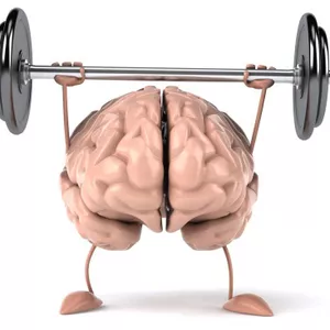 Aprenda Árabe na academia, e ganhe massa muscular