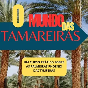 Imagem do curso Mentoria - tamareiras: do plantio à colheita!