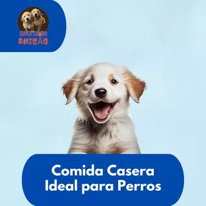 Imagen de portada para Ebook Comida Casera Ideal para Perros